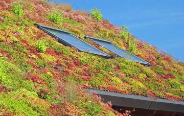 Colmworth living roof systems